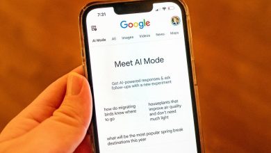 Handicapping The AI IPO Race