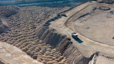 Barrick, Constellation Energy stocks rise on earnings beats