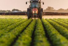 Assessing Itafos (TSXV:IFOS) Valuation After Q1 Earnings And Reaffirmed 2026 Sales Guidance