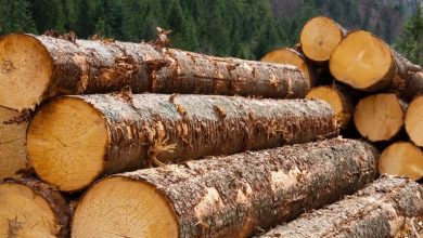 How Earnings Downgrades And Insider Buying At Louisiana-Pacific (LPX) Have Changed Its Investment Story How Earnings Downgrades And Insider Buying At Louisiana-Pacific (LPX) Have Changed Its Investment Story