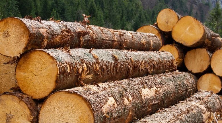 How Earnings Downgrades And Insider Buying At Louisiana-Pacific (LPX) Have Changed Its Investment Story How Earnings Downgrades And Insider Buying At Louisiana-Pacific (LPX) Have Changed Its Investment Story