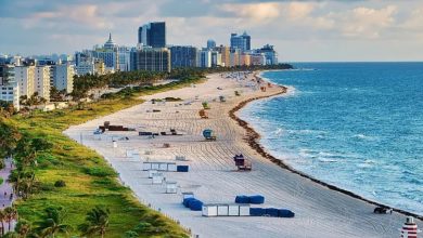 When will TCA Florida payments be sent in June 2026?