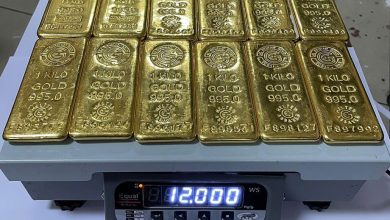 India’s Gold Market on Rise: Forecasted Trends and Economic Impacts India’s Gold Market on Rise: Forecasted Trends and Economic Impacts