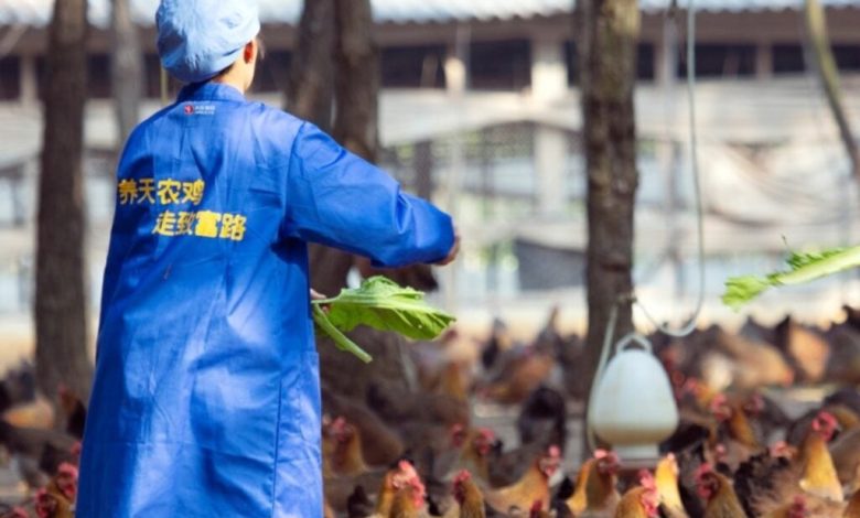 Tinoos Seeks Hong Kong IPO