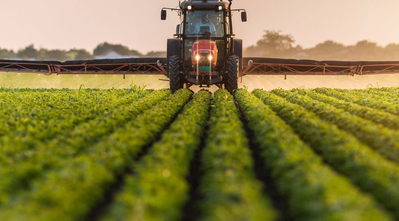 Assessing Itafos (TSXV:IFOS) Valuation After Mixed First Quarter Sales Growth And Profit Compression