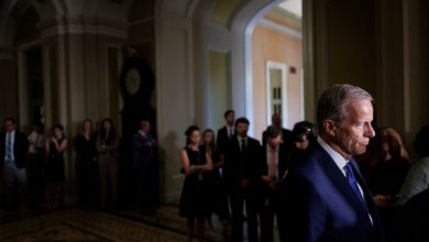 GOP immigration enforcement bill stalls amid backlash to .8 billion ‘anti-weaponization’ fund