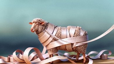 How inflation and politics drove up Eid sacrifices costs in Egypt