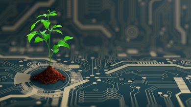 These 3 Dividend Paying Tech Stocks Offer AI Exposure – May 7, 2026