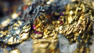 Thistle Resources CEO discusses TSXV debut and growth plans