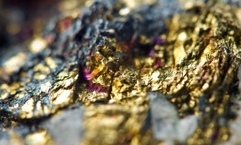 Thistle Resources CEO discusses TSXV debut and growth plans