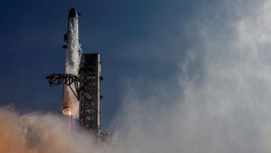 Gulf’s SpaceX investors could be set for windfall following IPO Gulf’s SpaceX investors could be set for windfall following IPO
