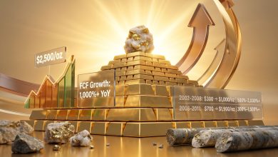 Gold Junior Mining Stocks Bull Market Opportunity