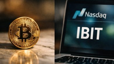Bitcoin Treasury Stocks vs Spot Bitcoin ETFs: Allocation Framework