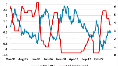DM Government Bond Markets in Limbo