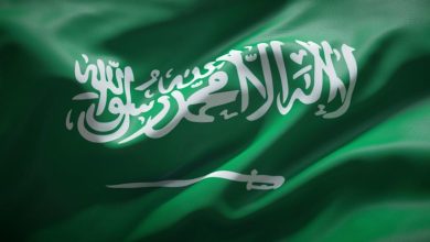 Power Metallic Mines enters strategic alliance with Amaar United Mining to pursue Saudi license opportunities Power Metallic Mines enters strategic alliance with Amaar United Mining to pursue Saudi license opportunities