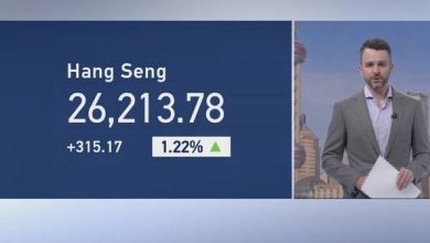 Hong Kong tech stocks rally as investors chase Chinese tech: analyst
