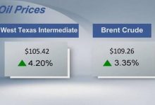 Crude futures settle higher