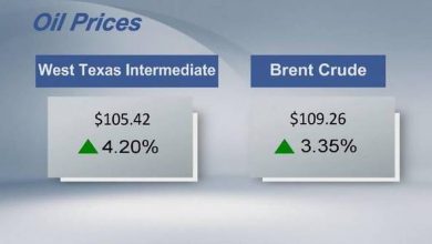 Crude futures settle higher