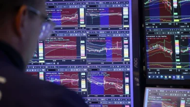 ‘Market has jumped the shark’: Sizzling chip stocks rally showing signs of patterns seen in 2000 ‘Market has jumped the shark’: Sizzling chip stocks rally showing signs of patterns seen in 2000