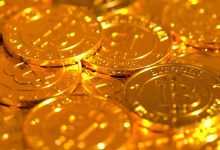 Caleb and Brown CCO says wealthy crypto clients are going back to basics