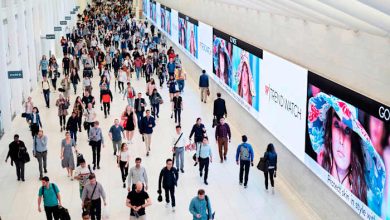 Young Americans’ job market optimism falls as older adults stay upbeat, new Gallup poll finds Young Americans’ job market optimism falls as older adults stay upbeat, new Gallup poll finds