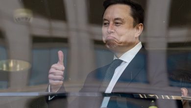 Top Analyst David Trainer on .75 trillion Space X IPO: “Avoid it” Top Analyst David Trainer on .75 trillion Space X IPO: “Avoid it”