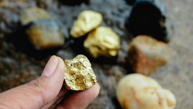 ASX 200 Gold Stocks and Mining Sector Trends ASX 200 Gold Stocks and Mining Sector Trends