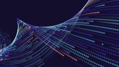Inside the Drivers of Growth