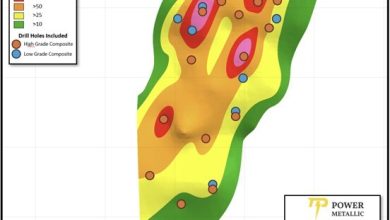 Power Metallic Reports Lion Zone Recoveries of 98.9% Copper, 93.9% Palladium, 96.8% Platinum, 85% Gold and 88.9% Silver from Initial Metallurgical Results as Reported by SGS Canada Inc.