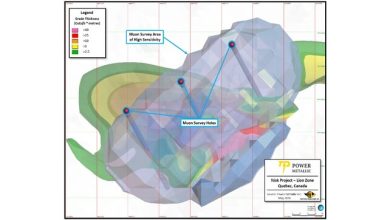 Power Metallic Partners with Ideon Technologies to Unlock Deep Discovery Potential at Nisk Lion Zone using Muon Tomography Power Metallic Partners with Ideon Technologies to Unlock Deep Discovery Potential at Nisk Lion Zone using Muon Tomography