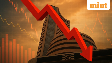 Infosys, TCS to LTIMindtree: IT stocks look cheap after up to 33% YTD fall, but upside may remain limited, say analysts