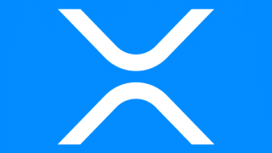 Ripple CEO confirms no IPO plans despite T in payments processed