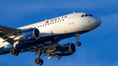 Delta cuts snacks and beverages on hundreds of flights: What travelers should know