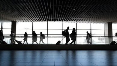 U.S. Global Investors’ Frank Holmes on why travel stocks look undervalued