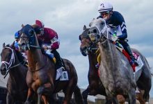 2026 Belmont Stakes odds, horses, futures: Uncanny bettor releases picks, best bets