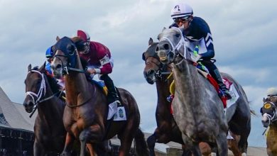 2026 Belmont Stakes odds, horses, futures: Uncanny bettor releases picks, best bets