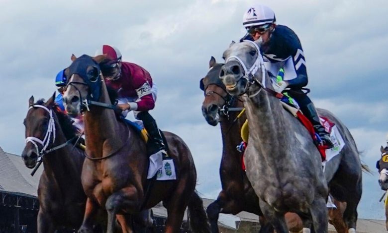 2026 Belmont Stakes odds, horses, futures: Uncanny bettor releases picks, best bets 2026 Belmont Stakes odds, horses, futures: Uncanny bettor releases picks, best bets