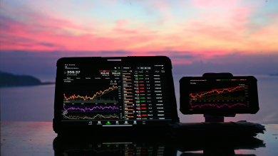 Latest financials and China pharma exposure