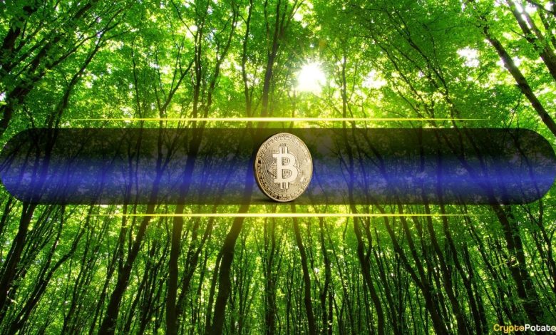 Bitcoin Price Pushes Above ,000 for First Time Since January