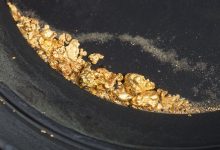 Newmont Investors Should Have Expected It