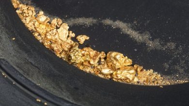 Newmont Investors Should Have Expected It