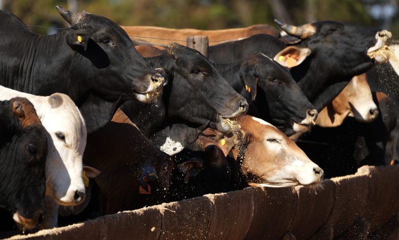 CME expands daily limits for cattle futures beginning June 1