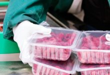 Cloetta (OM:CLA B) Valuation Check After Mixed First Quarter Earnings Results