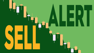 Deepwater Halves Global-e Online Position, Sells  Million in Stock