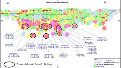Galiano Gold Expands Abore Mineralized System with New Intercepts Including 32m @ 4.7 g/t Au and 53m @ 3.9 g/t Au