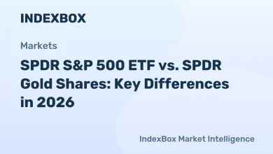 SPDR S&P 500 ETF vs. Gold Fund: Cost, Performance, and Risk Comparison – News and Statistics