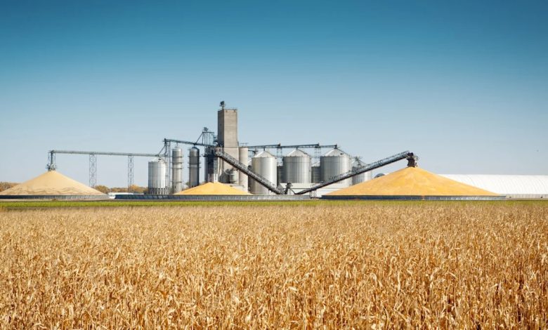 After Watching Commodities Move Quietly Higher These 3 ETFs Are Up Over 32 Percent and Belong in Every Inflation Hedged Portfolio After Watching Commodities Move Quietly Higher These 3 ETFs Are Up Over 32 Percent and Belong in Every Inflation Hedged Portfolio