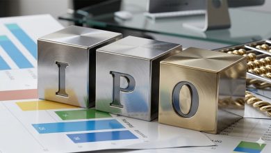 Why do IPO-bound companies witness leadership shifts?