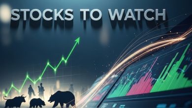 Stocks to Watch for May 25: Hindalco, Eicher Motors, Divi’s Labs, Torrent Pharma, Lupin and more