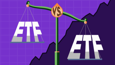 Vanguard VOO vs. iShares IWO: How S&P 500 Stability Compares to Small-Cap Growth Potential